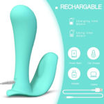 Wearable Panty Vibrator & Remote Tracy's Dog