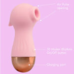 Euphoria Air Pulse Vibrator Pink Valentine A-704002