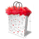 Sac Cadeau - Sex Position LG4043